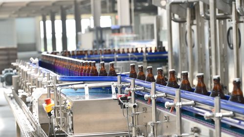 許巍 光良 長(zhǎng)春勞德巴赫火熱音樂(lè)節(jié)全陣容官宣